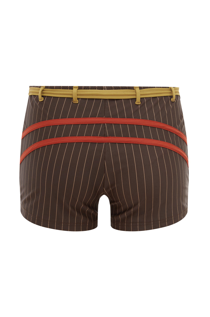 Blake Swim Shorts | Brown Pinstripe
